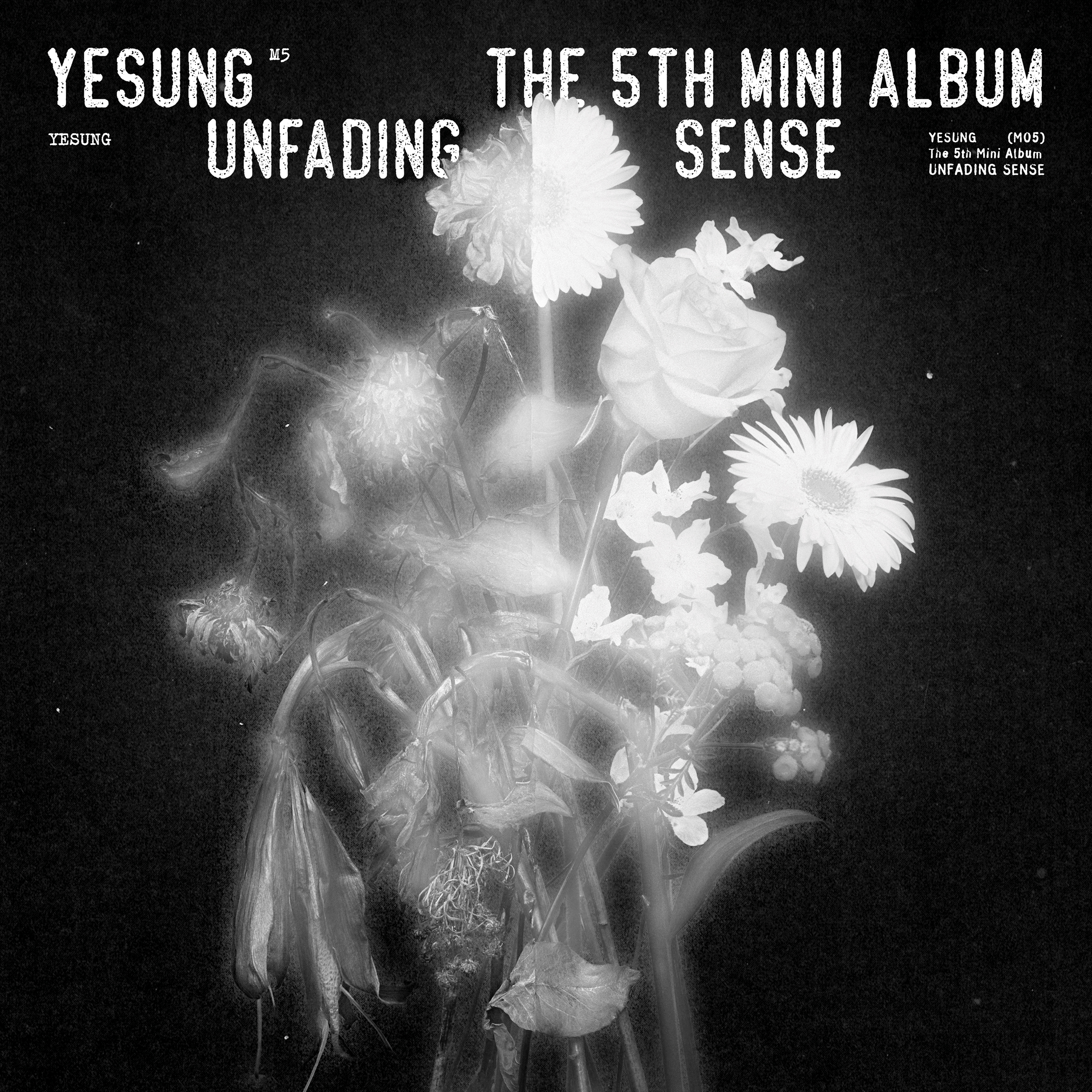 예성 - 미니 5집 [Unfading Sense] (Special Ver.)